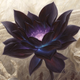 Illustration for article titled The Greatest Magic: The Gathering Art of All Time